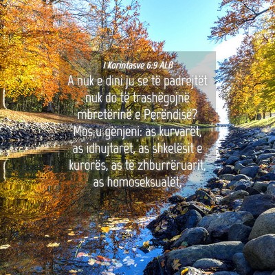 Picture 04 - 1 Korintasve 6:9 ALB - A nuk e dini ju se të padrejtët nuk do të - Bible Verse Picture