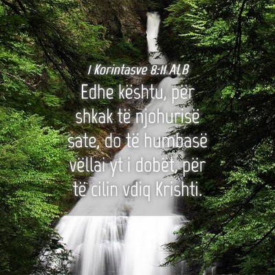 Picture 04 - 1 Korintasve 8:11 ALB - Edhe kështu, për shkak të njohurisë sate, do - Bible Verse Picture
