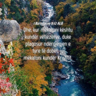 Picture 04 - 1 Korintasve 8:12 ALB - Dhe, kur mëkatoni kështu kundër vëllezërve, - Bible Verse Picture
