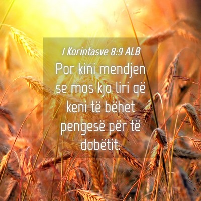 Picture 04 - 1 Korintasve 8:9 ALB - Por kini mendjen se mos kjo liri që keni të - Bible Verse Picture