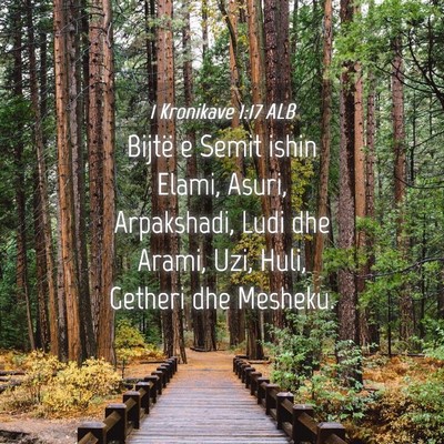 Picture 04 - 1 Kronikave 1:17 ALB - Bijtë e Semit ishin Elami, Asuri, Arpakshadi, - Bible Verse Picture
