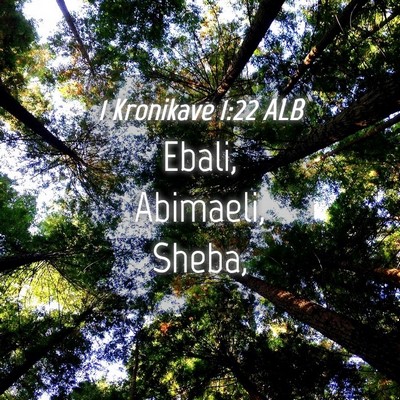 Picture 04 - 1 Kronikave 1:22 ALB - Ebali, Abimaeli, - Bible Verse Picture