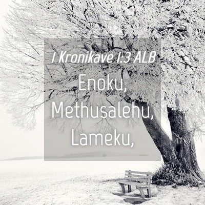 Picture 04 - 1 Kronikave 1:3 ALB - Enoku, Methusalehu, - Bible Verse Picture