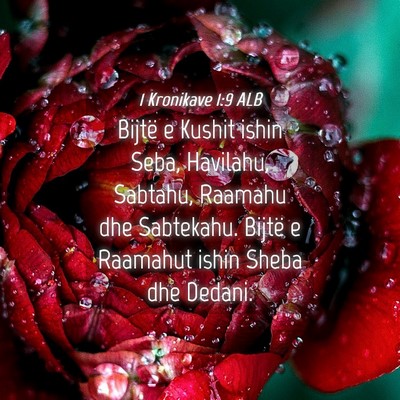 Picture 04 - 1 Kronikave 1:9 ALB - Bijtë e Kushit ishin Seba, Havilahu, Sabtahu, - Bible Verse Picture