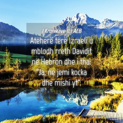 Picture 04 - 1 Kronikave 11:1 ALB - Atëherë tërë Izraeli u mblodh rreth Davidit - Bible Verse Picture