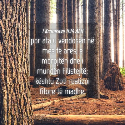 Picture 04 - 1 Kronikave 11:14 ALB - por ata u vendosën në mes të arës, e - Bible Verse Picture