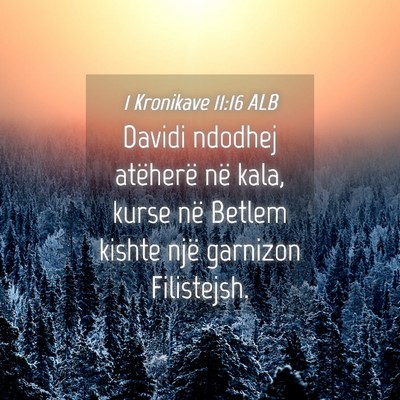 Picture 04 - 1 Kronikave 11:16 ALB - Davidi ndodhej atëherë në kala, kurse në - Bible Verse Picture