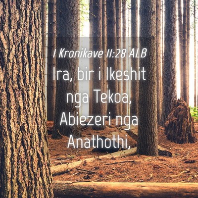 Picture 04 - 1 Kronikave 11:28 ALB - Ira, bir i Ikeshit nga Tekoa, Abiezeri nga - Bible Verse Picture