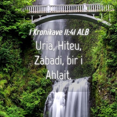 Picture 04 - 1 Kronikave 11:41 ALB - Uria, Hiteu, Zabadi, bir i - Bible Verse Picture