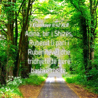 Picture 04 - 1 Kronikave 11:42 ALB - Adina, bir i Shizës, Rubenit (i pari i - Bible Verse Picture