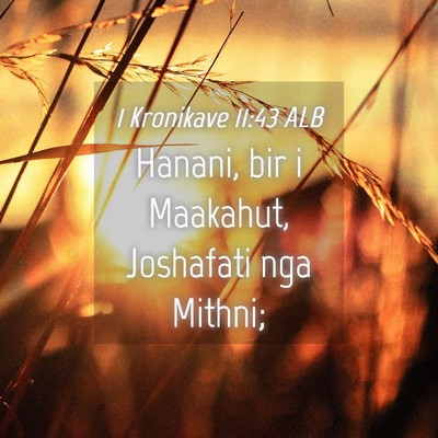 Picture 04 - 1 Kronikave 11:43 ALB - Hanani, bir i Maakahut, Joshafati nga - Bible Verse Picture