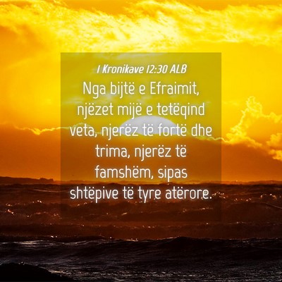 Picture 04 - 1 Kronikave 12:30 ALB - Nga bijtë e Efraimit, njëzet mijë e tetëqind - Bible Verse Picture