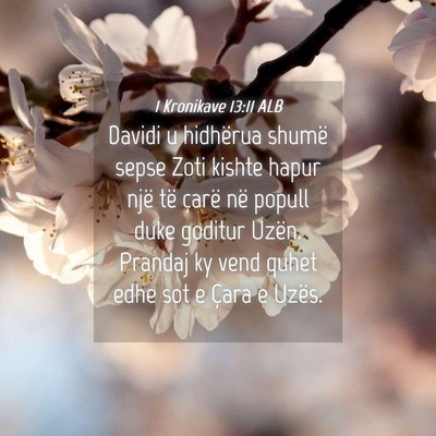 Picture 04 - 1 Kronikave 13:11 ALB - Davidi u hidhërua shumë sepse Zoti kishte hapur - Bible Verse Picture