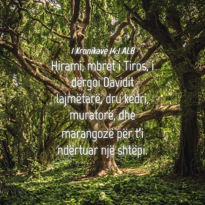 Picture 04 - 1 Kronikave 14:1 ALB - Hirami, mbret i Tiros, i dërgoi Davidit - Bible Verse Picture