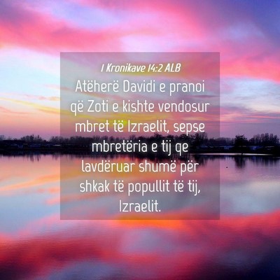 Picture 04 - 1 Kronikave 14:2 ALB - Atëherë Davidi e pranoi që Zoti e kishte - Bible Verse Picture