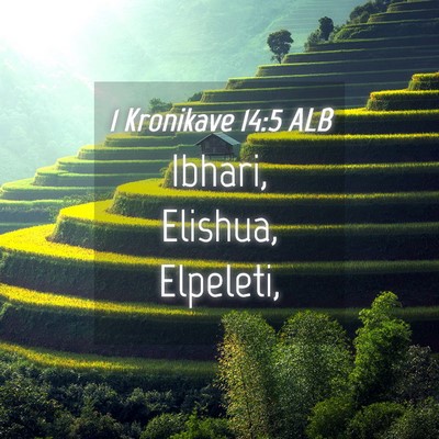 Picture 04 - 1 Kronikave 14:5 ALB - Ibhari, Elishua, - Bible Verse Picture