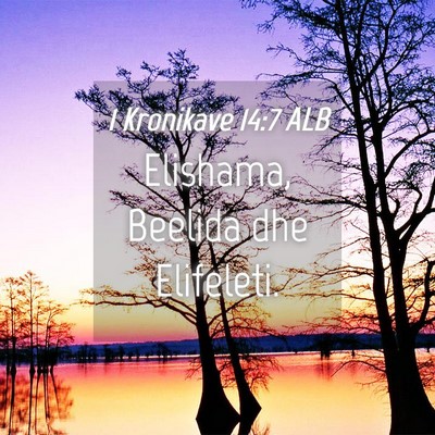 Picture 04 - 1 Kronikave 14:7 ALB - Elishama, Beelida dhe - Bible Verse Picture