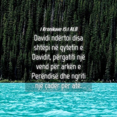 Picture 04 - 1 Kronikave 15:1 ALB - Davidi ndërtoi disa shtëpi në qytetin e - Bible Verse Picture