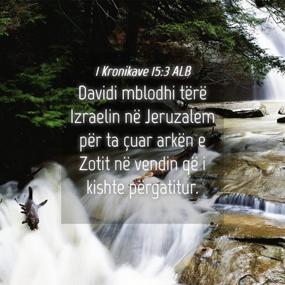Picture 04 - 1 Kronikave 15:3 ALB - Davidi mblodhi tërë Izraelin në Jeruzalem për - Bible Verse Picture