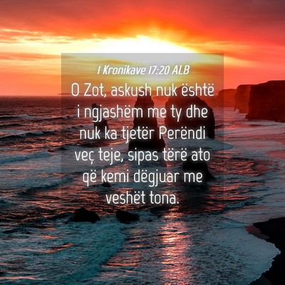 Picture 04 - 1 Kronikave 17:20 ALB - O Zot, askush nuk është i ngjashëm me ty dhe - Bible Verse Picture