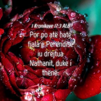 Picture 04 - 1 Kronikave 17:3 ALB - Por po atë natë fjala e Perëndisë iu drejtua - Bible Verse Picture