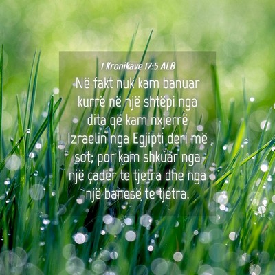 Picture 04 - 1 Kronikave 17:5 ALB - Në fakt nuk kam banuar kurrë në një shtëpi - Bible Verse Picture