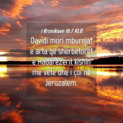 Picture 04 - 1 Kronikave 18:7 ALB - Davidi mori mburojat e arta që shërbëtorët e - Bible Verse Picture