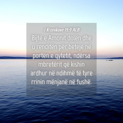 Picture 04 - 1 Kronikave 19:9 ALB - Bijtë e Amonit dolën dhe u renditën për - Bible Verse Picture