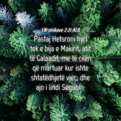 Picture 04 - 1 Kronikave 2:21 ALB - Pastaj Hetsroni hyri tek e bija e Makirit, atit - Bible Verse Picture