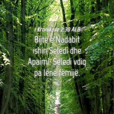 Picture 04 - 1 Kronikave 2:30 ALB - Bijtë e Nadabit ishin Seledi dhe Apaimi. Seledi - Bible Verse Picture