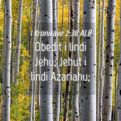 Picture 04 - 1 Kronikave 2:38 ALB - Obedit i lindi Jehu; Jehut i lindi - Bible Verse Picture