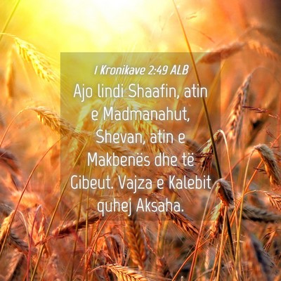 Picture 04 - 1 Kronikave 2:49 ALB - Ajo lindi Shaafin, atin e Madmanahut, Shevan, - Bible Verse Picture