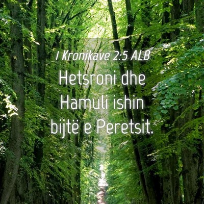 Picture 04 - 1 Kronikave 2:5 ALB - Hetsroni dhe Hamuli ishin bijtë e - Bible Verse Picture