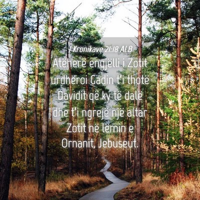 Picture 04 - 1 Kronikave 21:18 ALB - Atëherë engjëlli i Zotit urdhëroi Gadin t’i - Bible Verse Picture