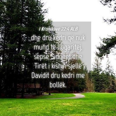 Picture 04 - 1 Kronikave 22:4 ALB - dhe dru kedri që nuk mund të llogaritej, sepse - Bible Verse Picture