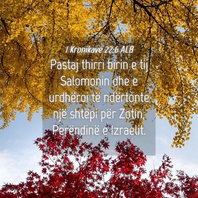 Picture 04 - 1 Kronikave 22:6 ALB - Pastaj thirri birin e tij Salomonin dhe e - Bible Verse Picture