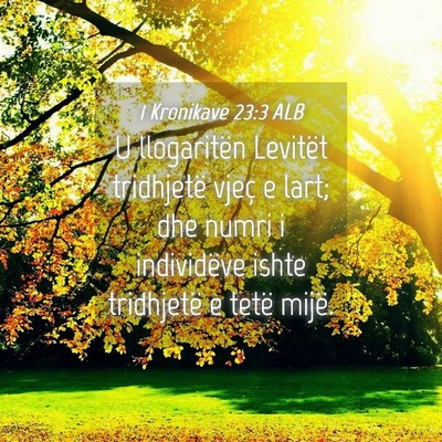 Picture 04 - 1 Kronikave 23:3 ALB - U llogaritën Levitët tridhjetë vjeç e lart; - Bible Verse Picture