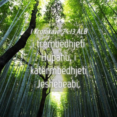 Picture 04 - 1 Kronikave 24:13 ALB - i trembëdhjeti Hupahu, i katërmbëdhjeti - Bible Verse Picture