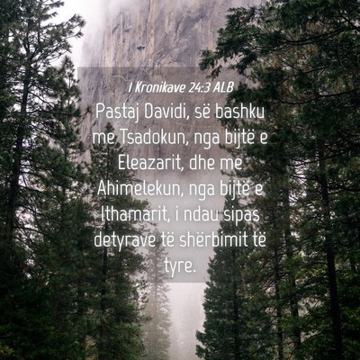 Picture 04 - 1 Kronikave 24:3 ALB - Pastaj Davidi, së bashku me Tsadokun, nga bijtë - Bible Verse Picture