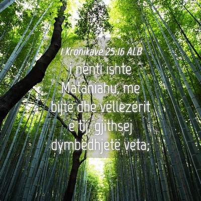 Picture 04 - 1 Kronikave 25:16 ALB - i nënti ishte Mataniahu, me bijtë dhe - Bible Verse Picture