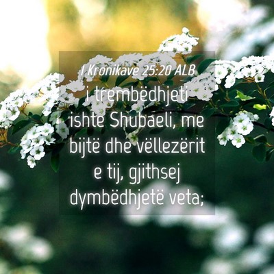 Picture 04 - 1 Kronikave 25:20 ALB - i trembëdhjeti ishte Shubaeli, me bijtë dhe - Bible Verse Picture