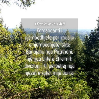Picture 04 - 1 Kronikave 27:14 ALB - Komandanti i njëmbëdhjetë për muajin e - Bible Verse Picture