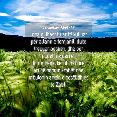 Picture 04 - 1 Kronikave 28:18 ALB - I dha gjithashtu ar të kulluar për altarin e - Bible Verse Picture