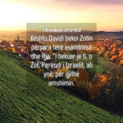 Picture 04 - 1 Kronikave 29:10 ALB - Kështu Davidi bekoi Zotin përpara tërë - Bible Verse Picture