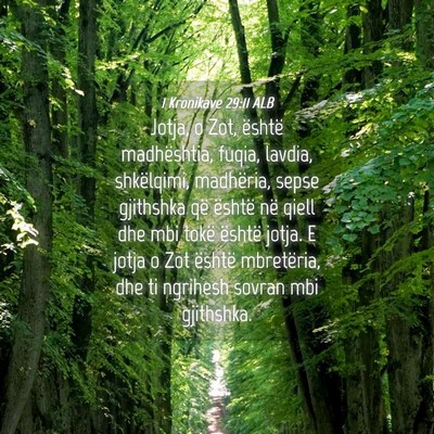 Picture 04 - 1 Kronikave 29:11 ALB - Jotja, o Zot, është madhështia, fuqia, lavdia, - Bible Verse Picture