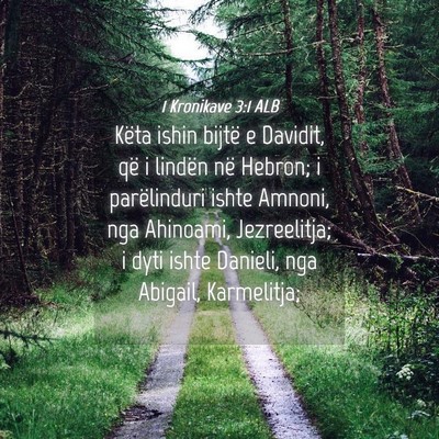 Picture 04 - 1 Kronikave 3:1 ALB - Këta ishin bijtë e Davidit, që i lindën në - Bible Verse Picture