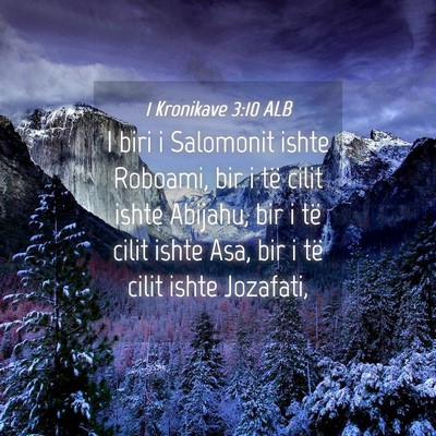 Picture 04 - 1 Kronikave 3:10 ALB - I biri i Salomonit ishte Roboami, bir i të cilit - Bible Verse Picture