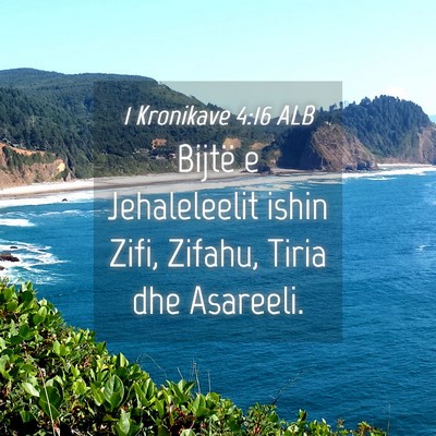 Picture 04 - 1 Kronikave 4:16 ALB - Bijtë e Jehaleleelit ishin Zifi, Zifahu, Tiria - Bible Verse Picture