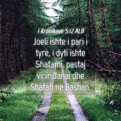 Picture 04 - 1 Kronikave 5:12 ALB - Joeli ishte i pari i tyre, i dyti ishte Shafami, - Bible Verse Picture