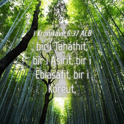 Picture 04 - 1 Kronikave 6:37 ALB - bir i Tahathit, bir i Asirit, bir i Ebiasafit, - Bible Verse Picture